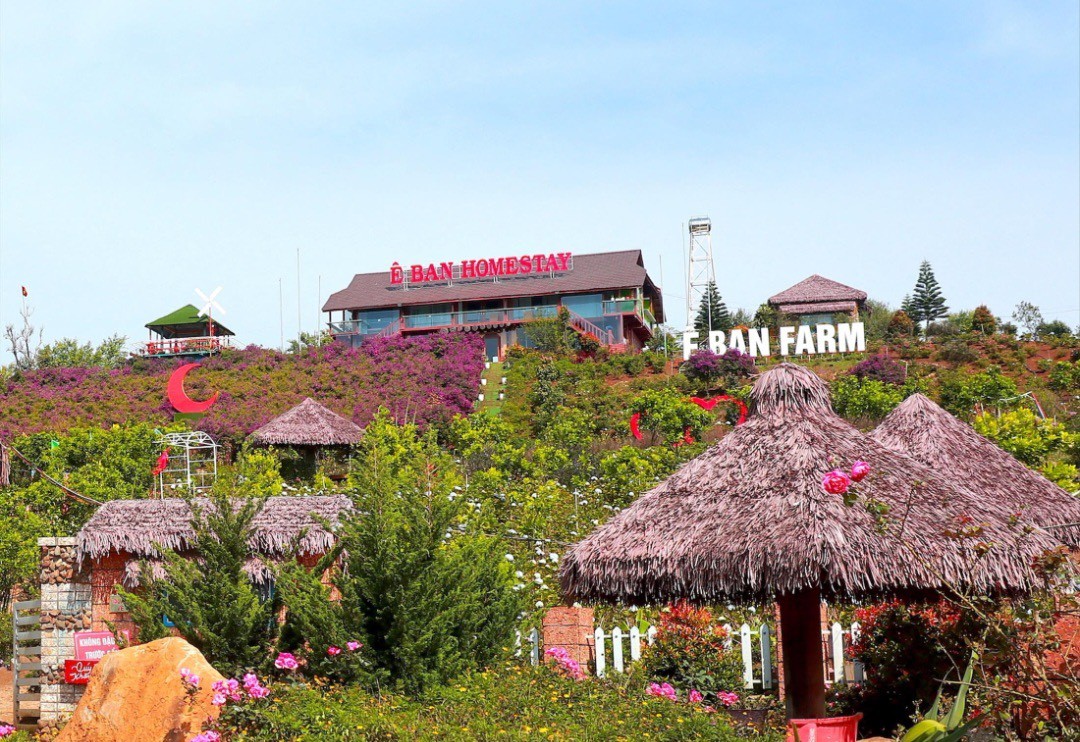 Hiện trạng thực tế không có rừng xảy ra tại nhiều dự án ở thị trấn MăngMăng. Hiện trạng thực tế không có rừng xảy ra tại nhiều dự án ở thị trấn MăngMăng.