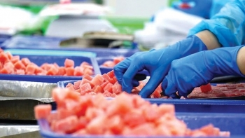 Xuất khẩu cá ngừ sang Anh khó duy trì đà tăng trưởng