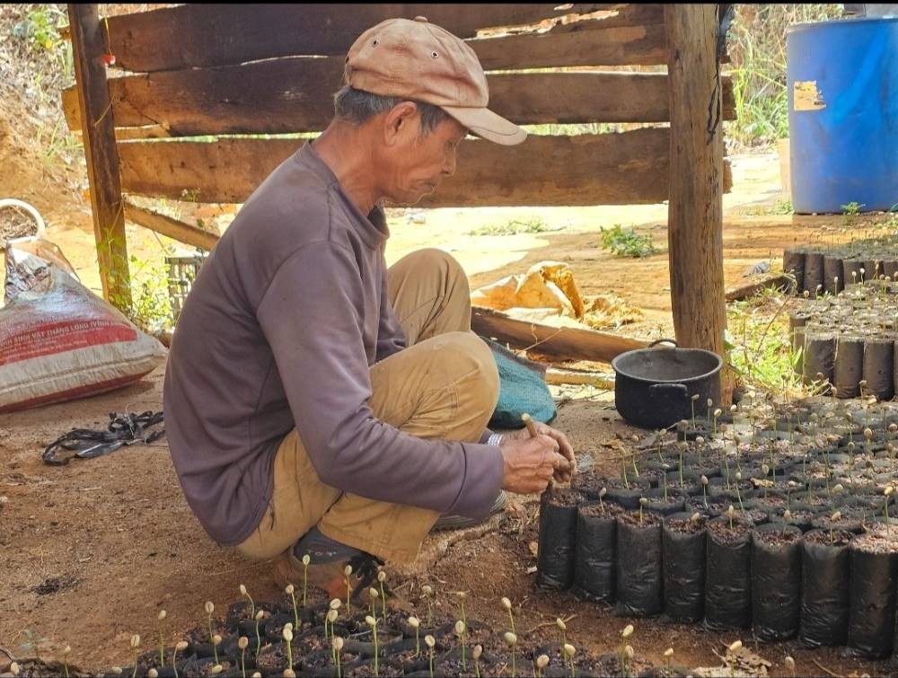 Đắk Nông hỗ trợ 16 tỷ đồng phát triển sản xuất nông nghiệp giai đoạn 2024 – 2025