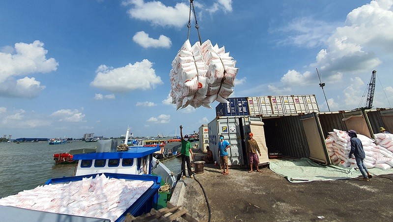 xuất khẩu gạo của Việt Nam năm 2024 dự báo sẽ vượt con số 5 tỷ USD.