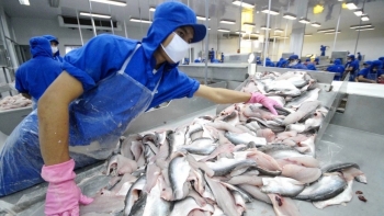 Xuất khẩu thủy sản Việt Nam 'bứt phá' tăng mạnh