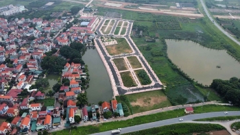 Chuyên gia: Đất đấu giá ngoại thành Hà Nội 133 triệu đồng/m² là bất thường