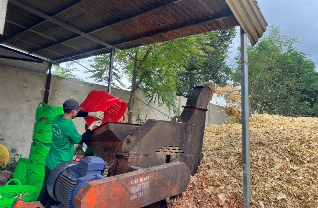 Xử lý băm vỏ sầu riêng tại Công ty Cổ phần Ban Mê Green Farm. Xử lý băm vỏ sầu riêng tại Công ty Cổ phần Ban Mê Green Farm.