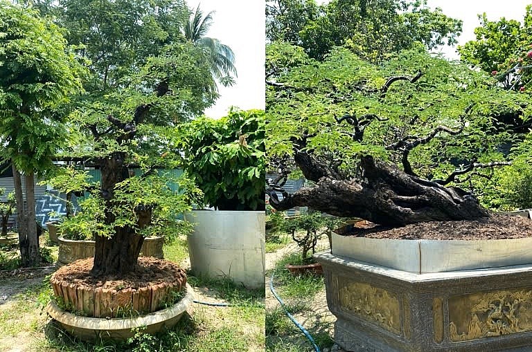 Hoa viên vĩnh hằng Phúc Bình – dẫn lối con người về cõi linh thiêng, miền cực lạc Hoa viên vĩnh hằng Phúc Bình – dẫn lối con người về cõi linh thiêng, miền cực lạc