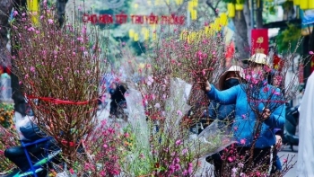 Đề xuất nghỉ tết Nguyên đán Ất Tỵ 9 ngày liên tục