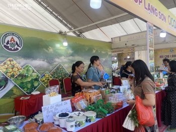 Hơn 100 gian hàng "quy tụ" tại Hội chợ Làng nghề lần thứ 20 năm 2024