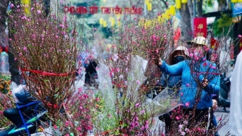 Trình Thủ tướng phương án nghỉ Tết Ất Tỵ kéo dài 9 ngày