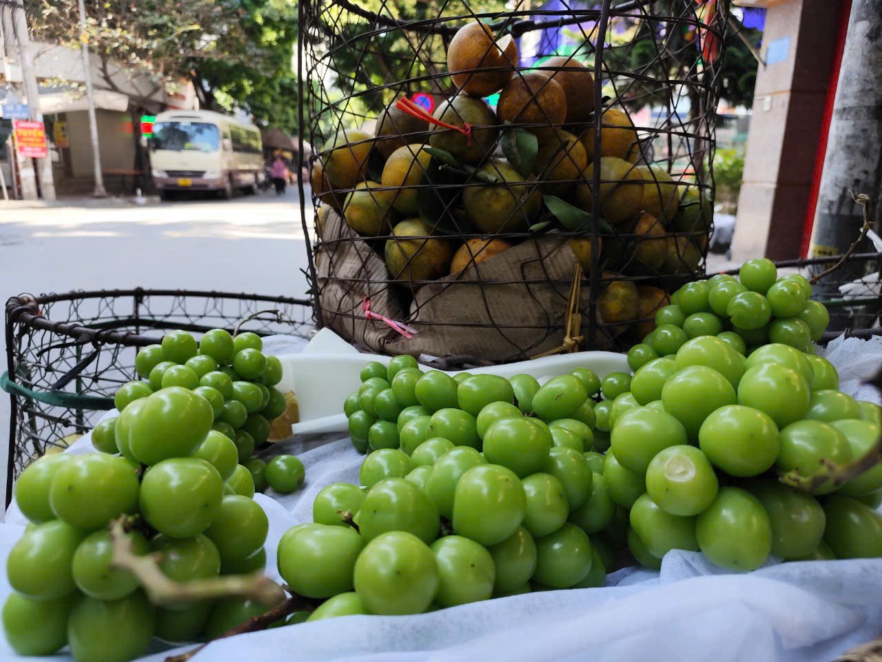 nho đang được kiểm tra theo hình thức thông thường là kiểm tra hồ sơ và kiểm tra giám sát của cơ quan chuyên ngành (Cục Bảo vệ thực vật). nho đang được kiểm tra theo hình thức thông thường là kiểm tra hồ sơ và kiểm tra giám sát của cơ quan chuyên ngành (Cục Bảo vệ thực vật).