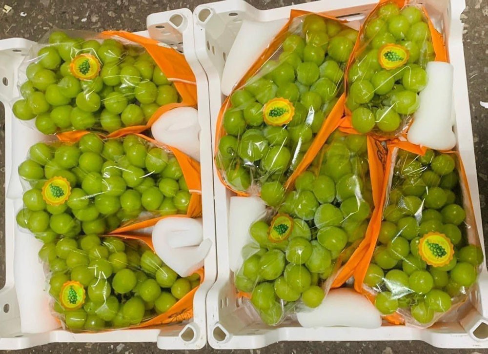 Nho sữa Trung Quốc được bán phổ biến ở thị trường Việt Nam với giá rất mềm Nho sữa Trung Quốc được bán phổ biến ở thị trường Việt Nam với giá rất mềm
