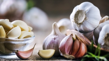Tỏi - gia vị quen thuộc, thuốc quý trong nhà