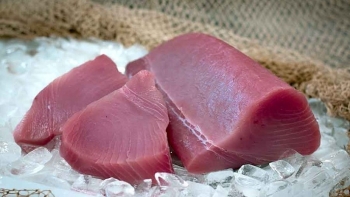 Cơ hội “vàng” để tăng xuất khẩu cá ngừ sang UAE