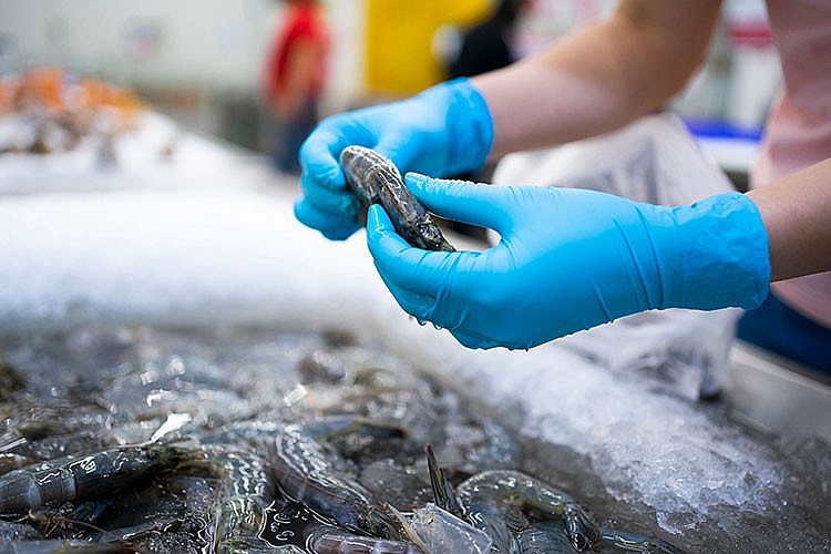 Nhiều cơ hội, không ít thách thức cho xuất khẩu thủy sản sang Mỹ khi ông Donald Trump đắc cử Tổng thống Nhiều cơ hội, không ít thách thức cho xuất khẩu thủy sản sang Mỹ khi ông Donald Trump đắc cử Tổng thống