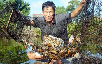 Mở rộng thị trường xuất khẩu các sản phẩm chủ lực của Cà Mau