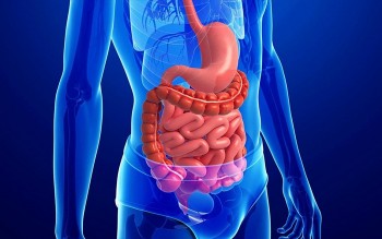 Những thực phẩm "cấm kỵ" với người bệnh viêm ruột