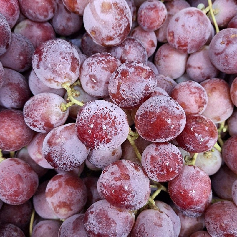 Tập đoàn Phúc Sơn sẽ tập trung mọi nguồn lực để đẩy nhanh tiến độ thi công 2 dự án còn dang dở. Tập đoàn Phúc Sơn sẽ tập trung mọi nguồn lực để đẩy nhanh tiến độ thi công 2 dự án còn dang dở.