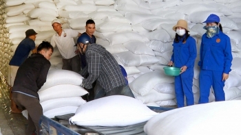 Xuất cấp gạo từ nguồn dự trữ quốc gia cho 3 tỉnh bị ảnh hưởng cơn bão số 3