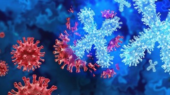 Bùng phát “Căn bệnh lạ” từ Congo khiến nhiều quốc gia dè chừng