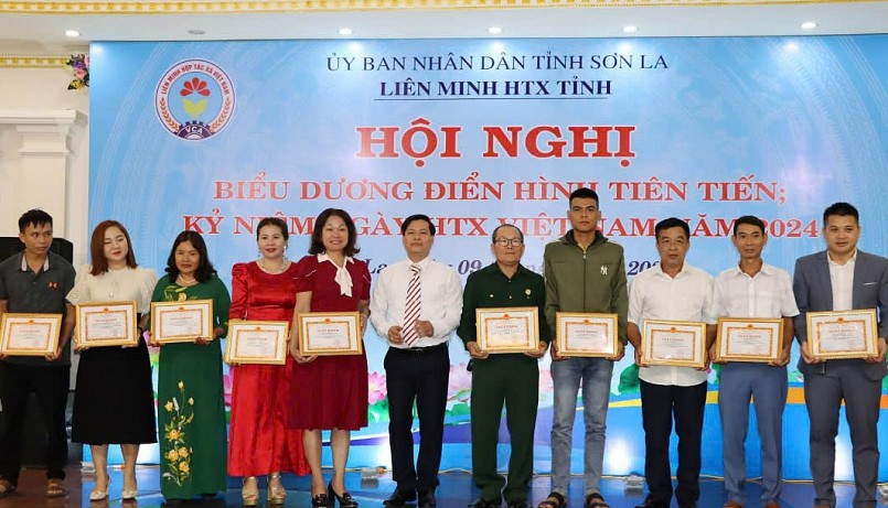 Liên minh HTX tỉnh tặng giấy khen cho các HTX  có thành tích xuất sắc trong xây dựng và phát triển kinh tế tập thể, HTX.  Ảnh: Nguyễn Thư