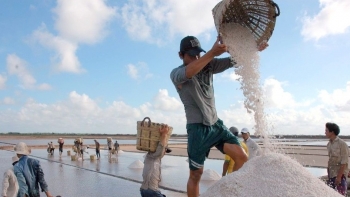 Nâng tầm giá trị hạt muối Việt Nam