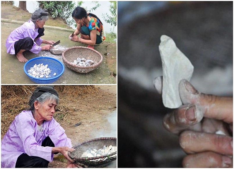 "Cạp đất mà ăn" ngỡ đùa nhưng có thật, còn là đặc sản Vĩnh Phúc "Cạp đất mà ăn" ngỡ đùa nhưng có thật, còn là đặc sản Vĩnh Phúc