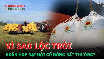 Vì sao Lộc Trời hoãn họp đại hội cổ đông bất thường?