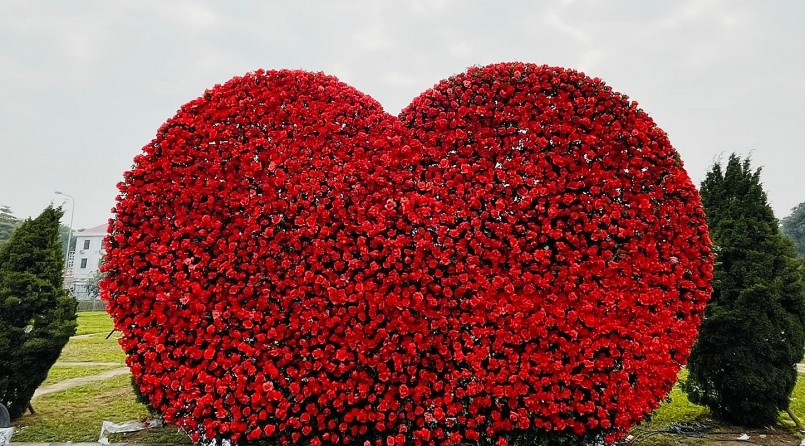 Choáng ngợp với 200 tấn hoa tươi tại đêm khai mạc Festival hoa Mê Linh Choáng ngợp với 200 tấn hoa tươi tại đêm khai mạc Festival hoa Mê Linh