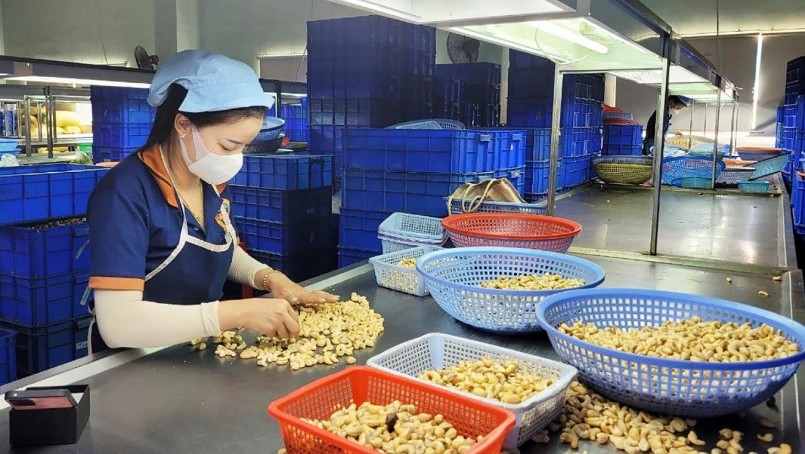 Xuất khẩu điều lập kỷ lục 4,37 tỷ USD Xuất khẩu điều lập kỷ lục 4,37 tỷ USD