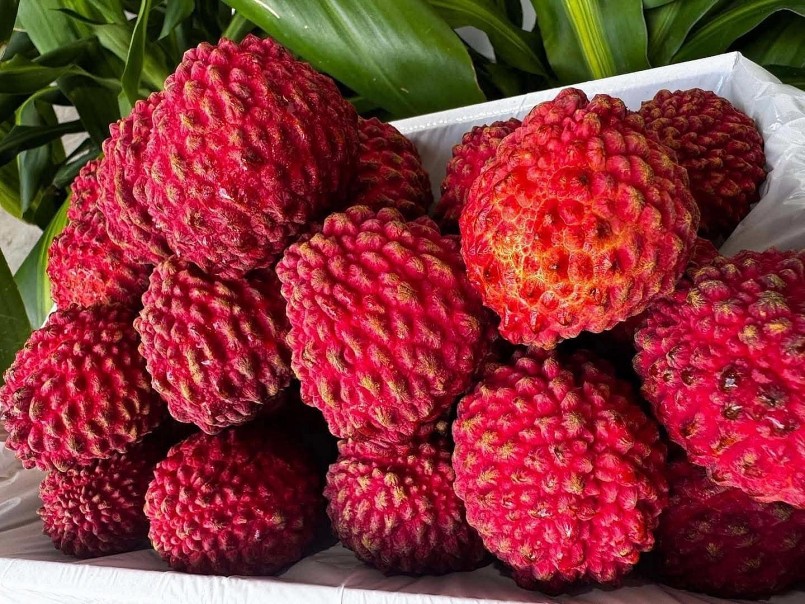 Vải thiều Úc gần 6 triệu đồng/hộp vẫn đắt khách dịp Tết Vải thiều Úc gần 6 triệu đồng/hộp vẫn đắt khách dịp Tết