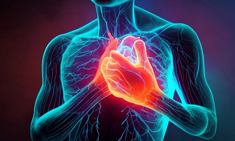 Người bệnh tim, tiểu đường có được ăn bánh chưng không? Người bệnh tim, tiểu đường có được ăn bánh chưng không?