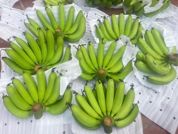 Lý giải giá chuối tăng đột biến khiến người mua "giật mình"