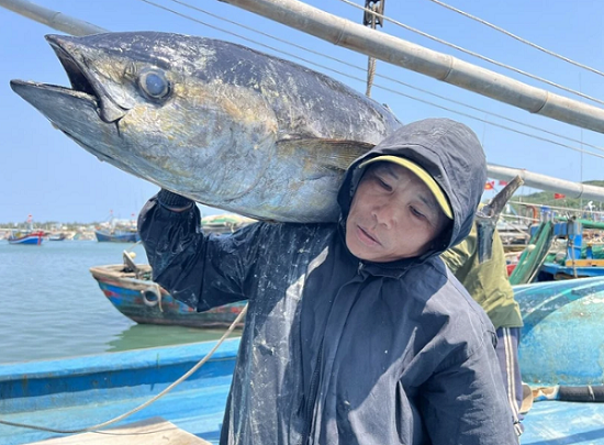 (Ảnh: Đinh Hương/TTXVN) (Ảnh: Đinh Hương/TTXVN)