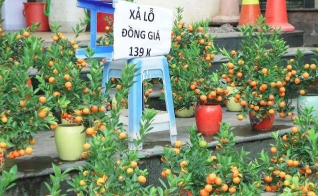 Tiểu thương giảm giá sớm để thu hút khách hàng Tiểu thương giảm giá sớm để thu hút khách hàng