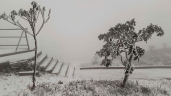 Không khí lạnh rất mạnh sắp "đổ bộ" miền Bắc, chuyên gia mách cách giữ ấm cơ thể