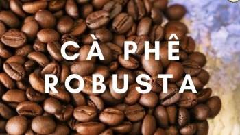 Giá cà phê robusta giảm mạnh ngày thứ hai liên tiếp