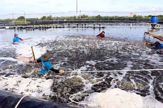 trong năm 2025, Việt Nam sẽ phải đối mặt với những thách thức về thiếu nguyên liệu trong năm 2025, Việt Nam sẽ phải đối mặt với những thách thức về thiếu nguyên liệu