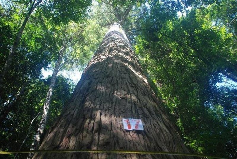 Thanh Hóa: Khu bảo tồn Xuân Liên được nâng hạng thành vườn quốc gia