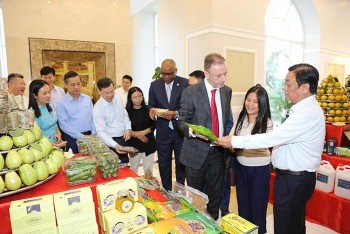 Cả nước có 15.590 sản phẩm OCOP đạt 3 sao trở lên: Mừng nhưng chưa vui