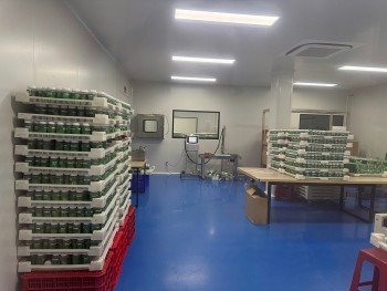 Công ty cổ phần ASIA LIFE gia công cho team "Chị em rọt" hơn 50.000 hộp kẹo rau củ Kera