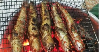 Món ăn từ loài cá "leo cây" độc đáo của miền Tây