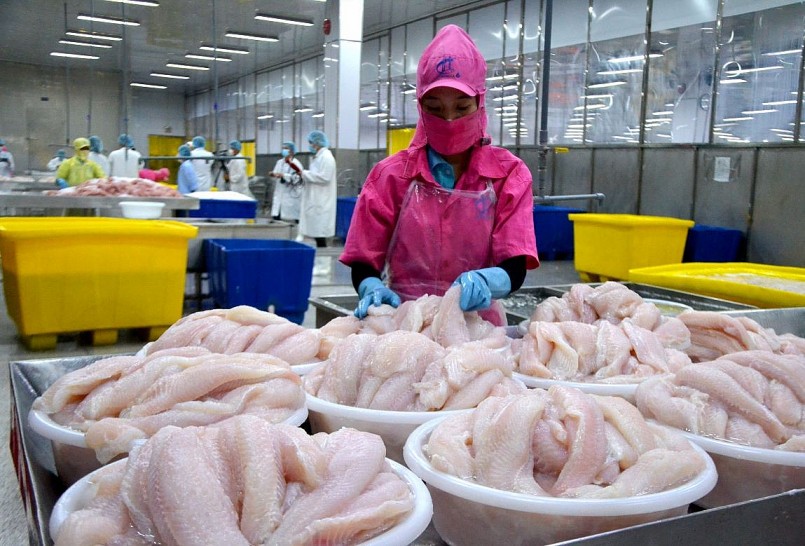 Sản phẩm cá tra của Việt Nam dự báo sẽ tăng trưởng mạnh tại thị trường Mỹ trong năm 2025 do thị phần cá rô phi giảm