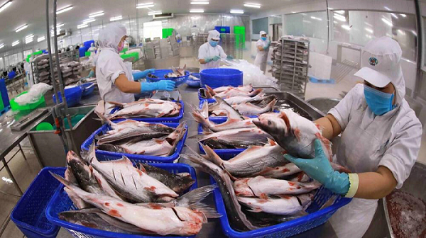 Thái Lan tiêu thụ cá tra lớn thứ hai của Việt Nam tại châu Á Thái Lan tiêu thụ cá tra lớn thứ hai của Việt Nam tại châu Á