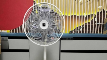 Top những thương hiệu quạt cây đáng mua năm 2025