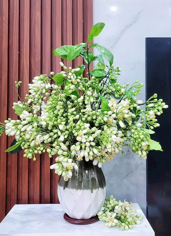 Theo quan niệm phong thủy, hoa bưởi mang đến may mắn, thịnh vượng và tài lộc cho gia chủ. Đặt hoa bưởi trong nhà là cách để tăng cường năng lượng tích cực.