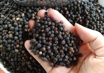 Giá tiêu tiếp tục chuỗi ngày đi ngang