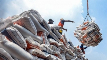 Ngành gạo cần làm gì trước nỗi lo “miếng bánh” thị phần đang nhỏ lại?