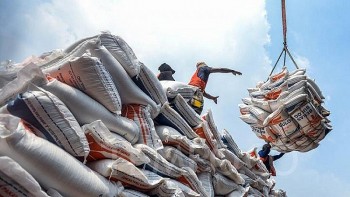 Ngành gạo cần làm gì trước nỗi lo “miếng bánh” thị phần đang nhỏ lại?