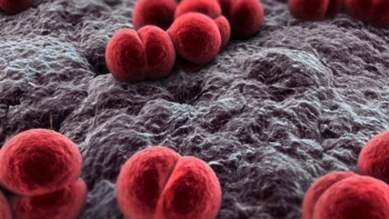 74 trường hợp tiếp xúc gần với ca bệnh viêm não mô cầu ở Thái Bình