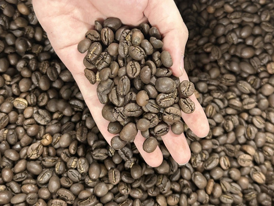 Giá cà phê lao dốc với tốc độ chóng mặt Giá cà phê lao dốc với tốc độ chóng mặt