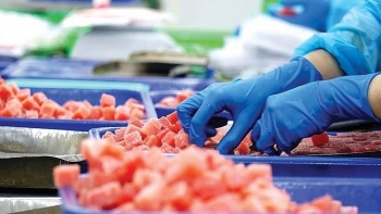 Xuất khẩu cá ngừ đối mặt với nhiều thách thức mới