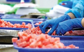 Xuất khẩu cá ngừ đối mặt với nhiều thách thức mới